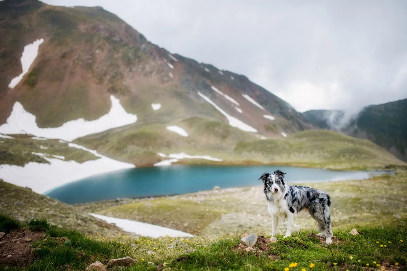 Copertina CORSO ISTRUTTORI RIABILITATIVO EsCAC