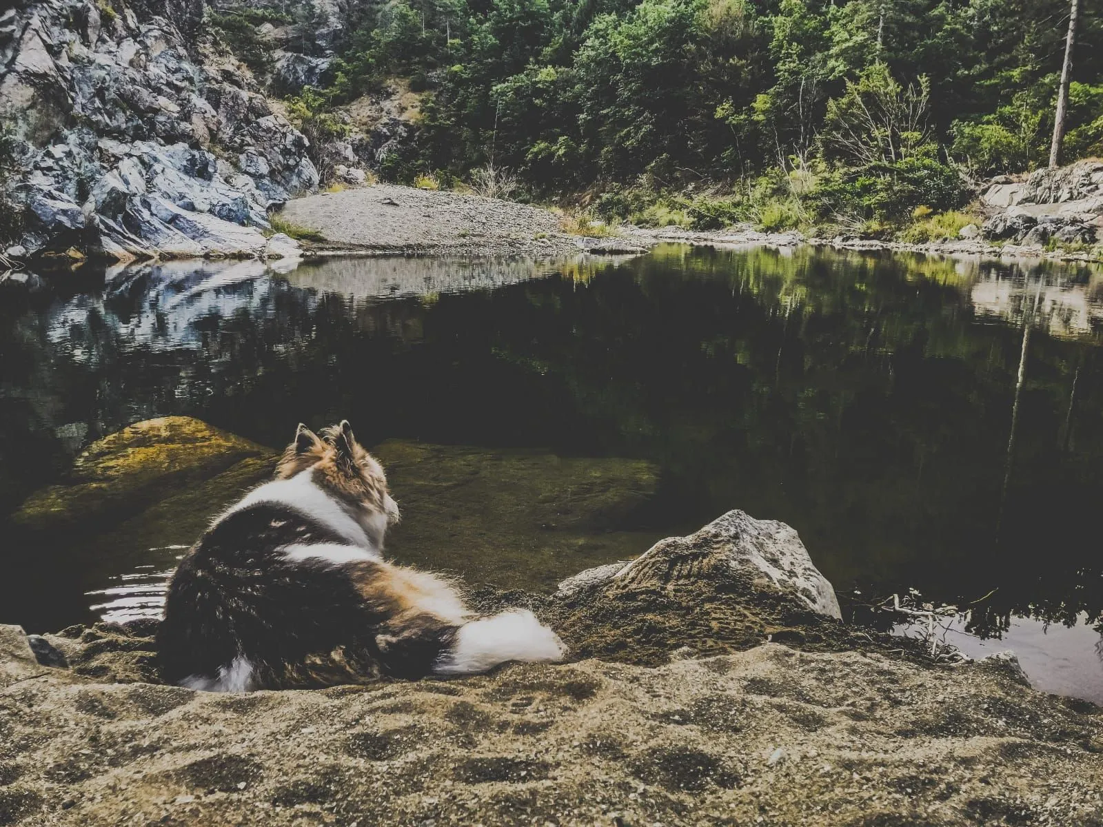 Copertina Master sulla libertà